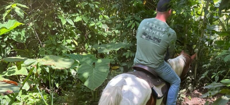 Harmony Horse Riding of Miami - Well-Trained Horses and Guided Tours in Miami