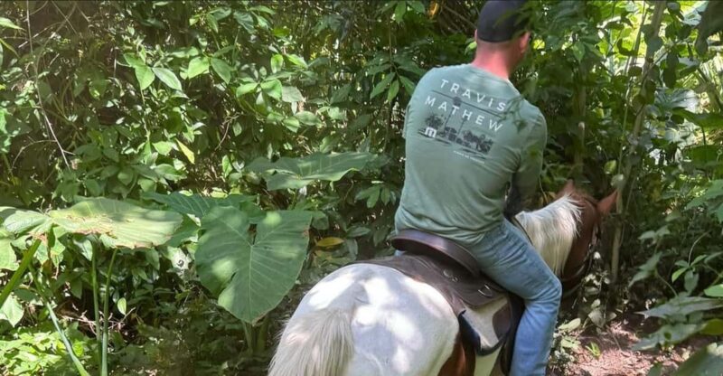 Harmony Horse Riding of Miami - Frequently Asked Questions