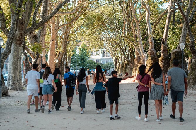 Harry Potter and the City of Porto Guided Tour - Practical Details and Tour Logistics