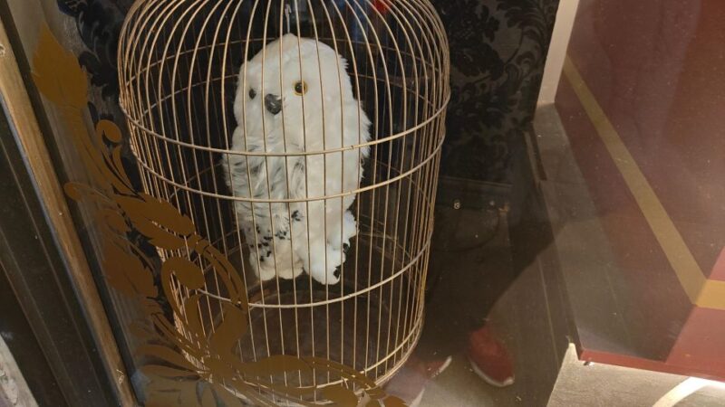 Harry Potter in London - Private Walking Tour - Inside the London Film Locations