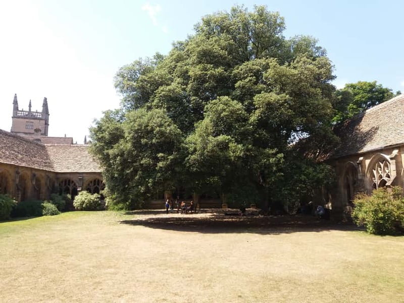 Harry Potter Tour New College Private Group Tour - Strolling through Oxford’s Historic Halls and Gardens