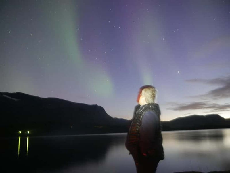 Harstad/Narvik: Northern Lights Tours with second day chance - Watching the Lights with Wine and Photography Help