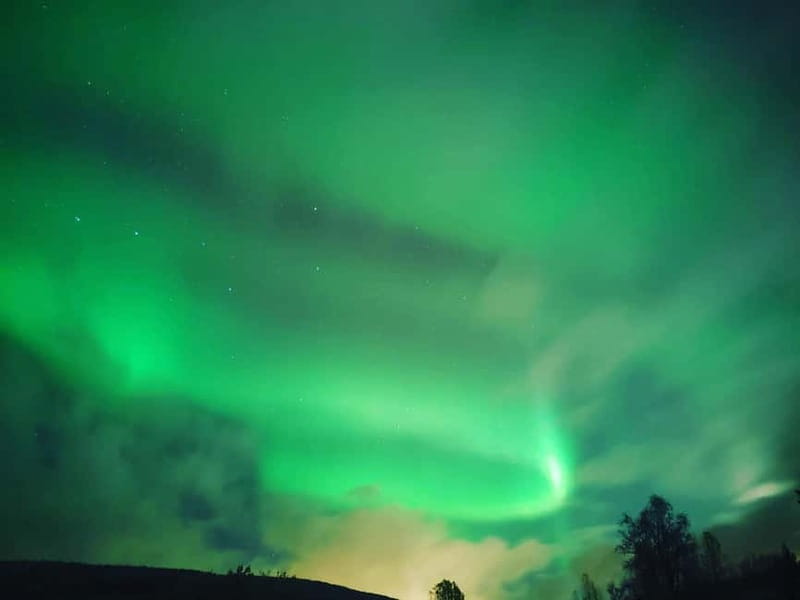 Harstad/Narvik: Northern Lights Tours with second day chance - The Second Day Chance: Peace of Mind