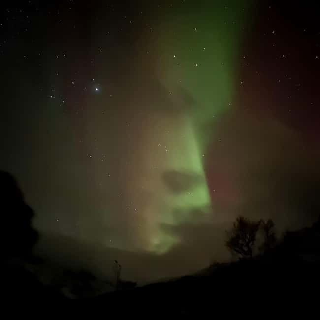 Harstad/Narvik: Northern Lights Tours with second day chance - The Experience of a Lifetime with a Personal Touch