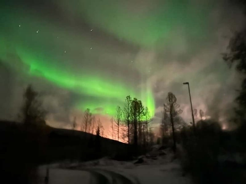 Harstad/Narvik: Northern Lights Tours with second day chance - Suitability and Practical Tips for Your Northern Lights Tour