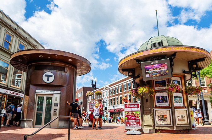 Harvard Square Donut Adventure - Sampling at Three Unique Donut Shops
