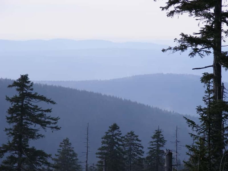 Harz Mountains Day Trip - Explore the Harz Mountains in a Full-Day Tour from Leipzig