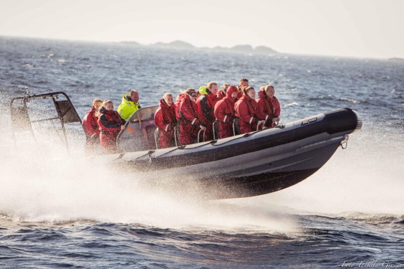 Haugesund: RIB Safari to the island communities - The Guides: Knowledgeable and Friendly