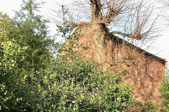 Haunted Chester and its Ghosts: A Self-Guided Walking Tour - Chester’s Historic Churches: St John’s and the Cathedral