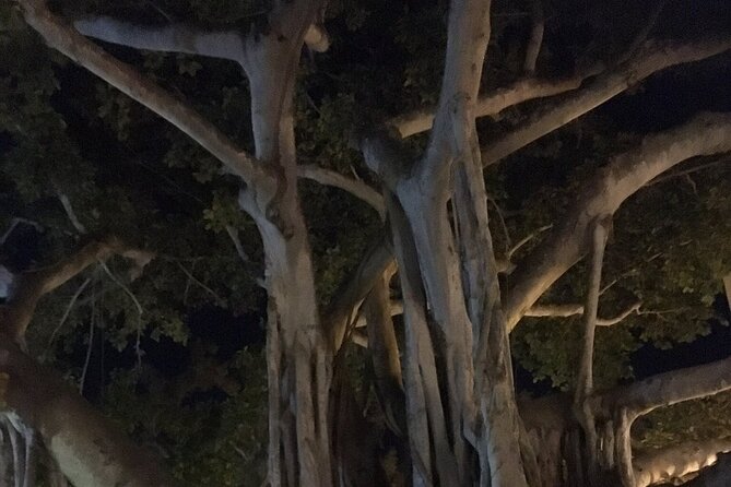 Haunted History of Fort Myers Walking Tour - Physical and Comfort Considerations