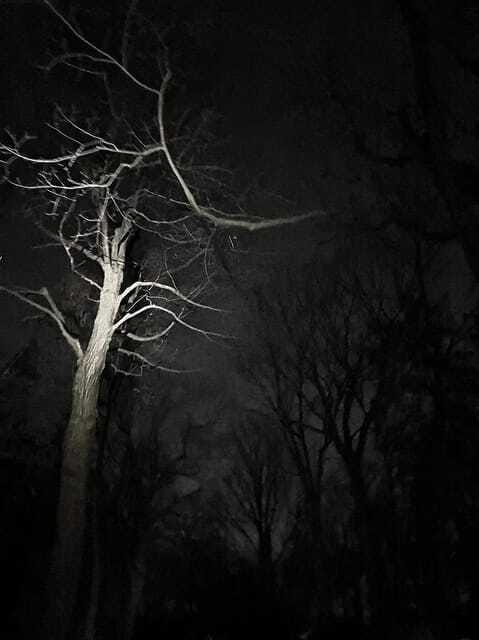 Haunted Mountain Ghost Walking Tour - The Tour Route and Notable Stops on Mount Royal