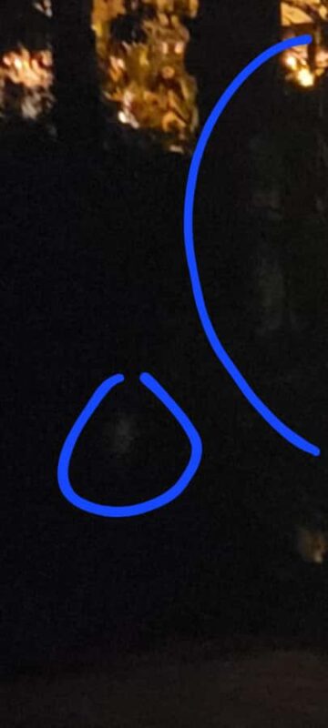 Haunted St. Augustine Semi-Private Paranormal Investigation - Key Points