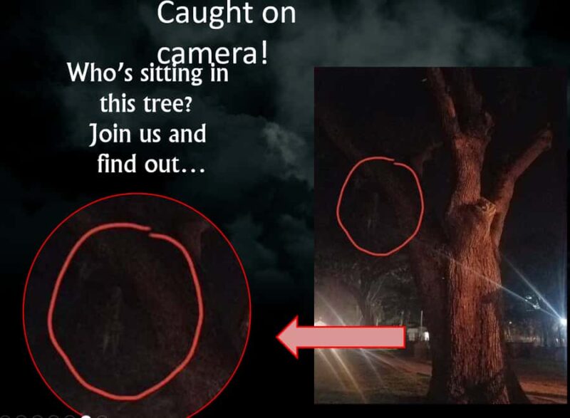 Haunted St. Augustine Semi-Private Paranormal Investigation - Physical Requirements and Accessibility