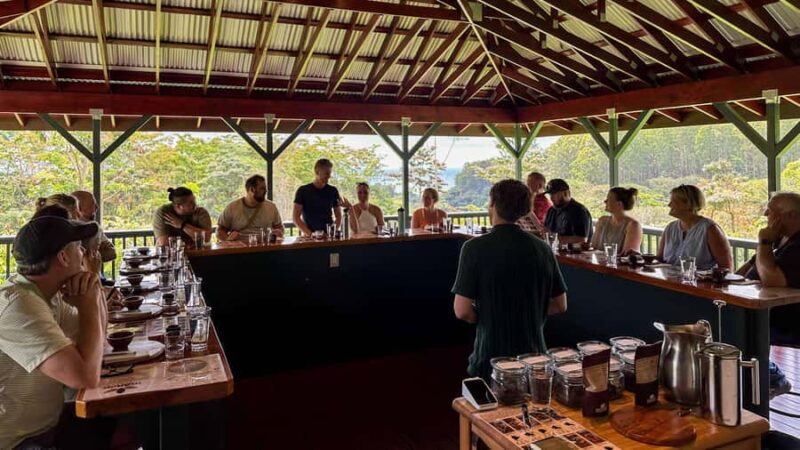 Hawaii: 10 Bar Chocolate Tasting & History of Chocolate - Hawaii Chocolate Tasting Tour: Final Thoughts