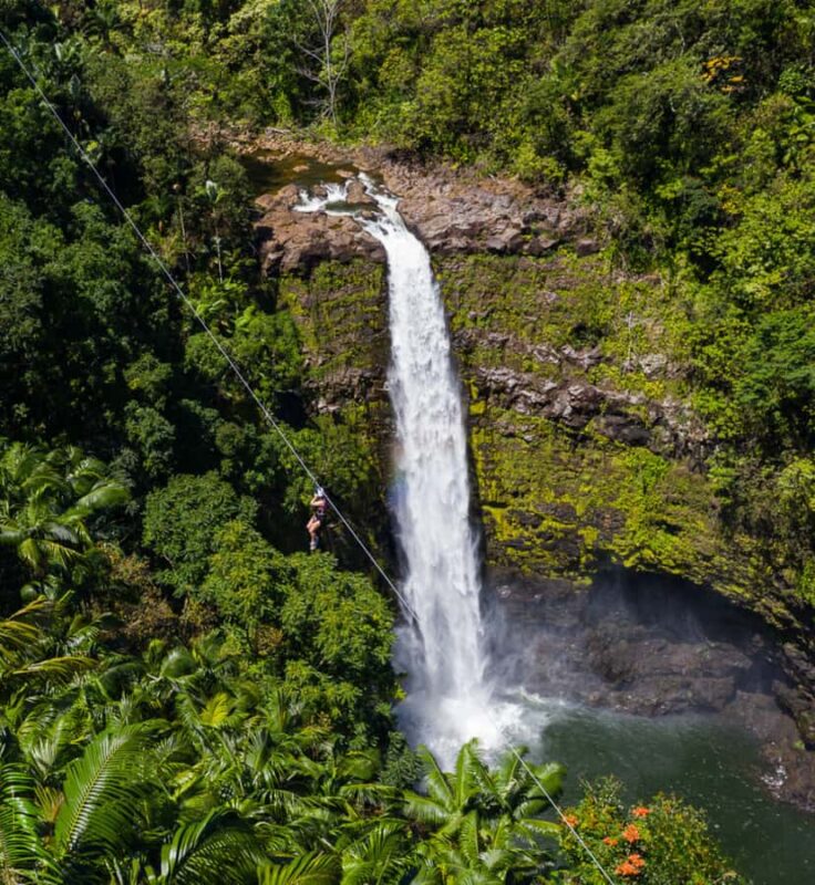 Hawaii: Big Island Hilo Zipline Tour with Cruise Ship Pickup - Practical Details for a Comfortable Experience
