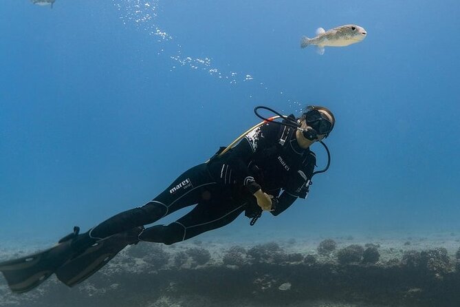 Hawaii DISCOVER Beginner + Certified 2 Tank Shallow Scuba Diving - Experience the Authentic Ocean Adventure off Oahu for Just $249
