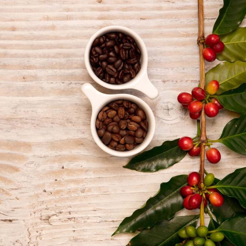 Hawaii Hala Tree Coffee: Coffee Cupping Workshop - What the Coffee Cupping Workshop Teaches You