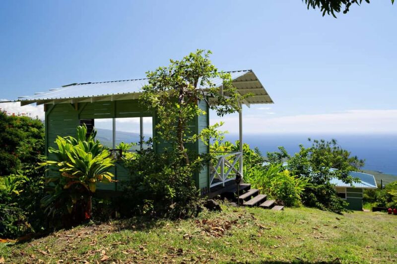 Hawaii: Hala Tree Coffee Farm Tour and Tasting - Key Points