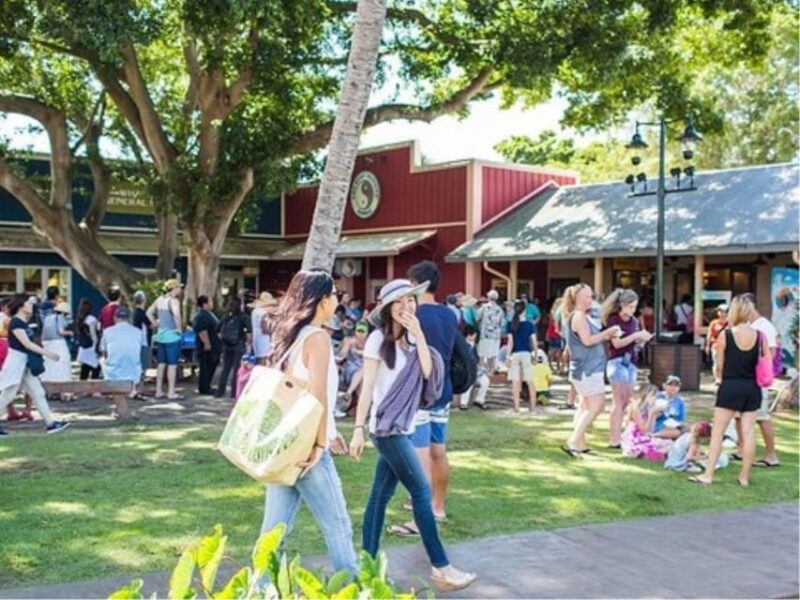 Hawaii : Oahu Island Sightseeing and Food Combo Tour - Hawaii Oahu Island Sightseeing and Food Combo Tour: Final Thoughts