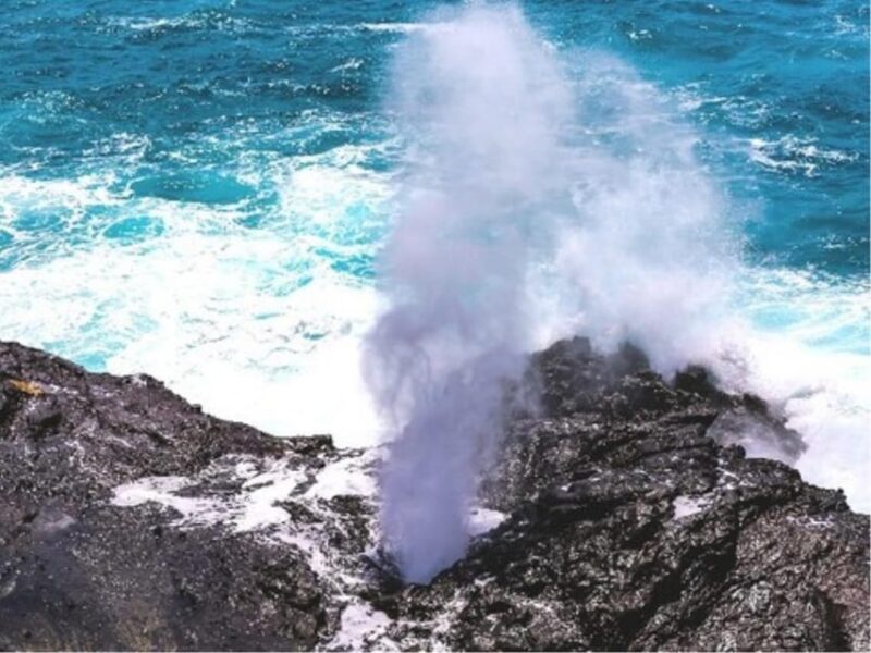 Hawaii : Oahu Island Sightseeing and Food Combo Tour - Frequently Asked Questions