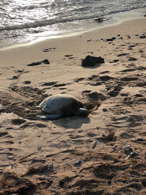 Hawaii: Pearl Harbor and North Shore adventure - Final Thoughts on the Hawaii Pearl Harbor and North Shore Adventure