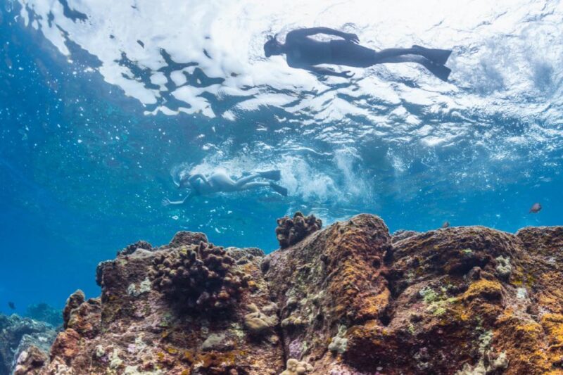 Hawaii: Pu'uhonua O Honaunau & Kealakekua Bay Snorkel Tour - Discover the Heart of South Kona with a Snorkeling Adventure for $142
