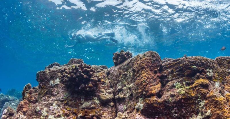 Hawaii: Pu'uhonua O Honaunau & Kealakekua Bay Snorkel Tour - The Boat Ride Along the Kona Coast