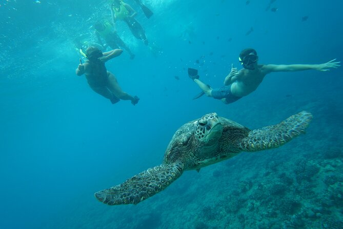 Hawaii Snorkeling with Turtles Boat Tour in Waikiki - Customer Satisfaction and Guide Expertise
