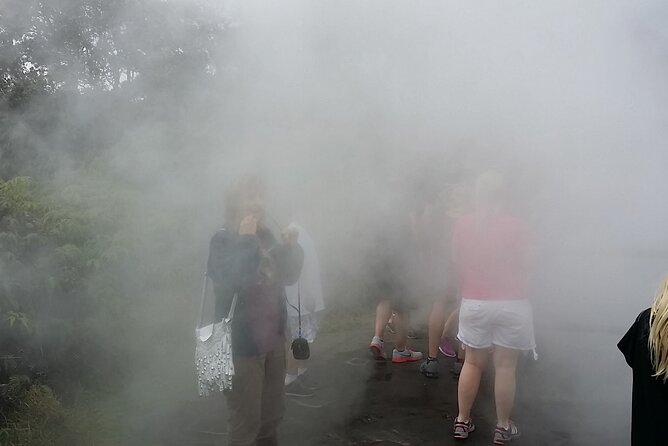 Hawaii Volcano National Park Shore Excursion - Logistics, Group Size, and Booking Details