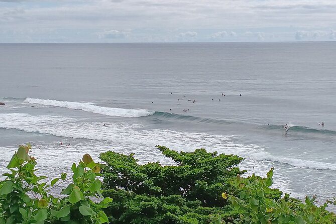 Hawaii Volcano National Park Shore Excursion - The Guide’s Style and Expertise