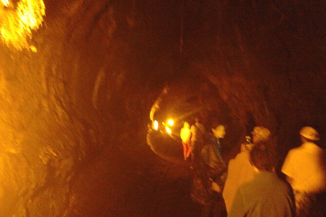 Hawaii Volcano National Park Shore Excursion - Final Thoughts on the Hawaii Volcano National Park Shore Excursion