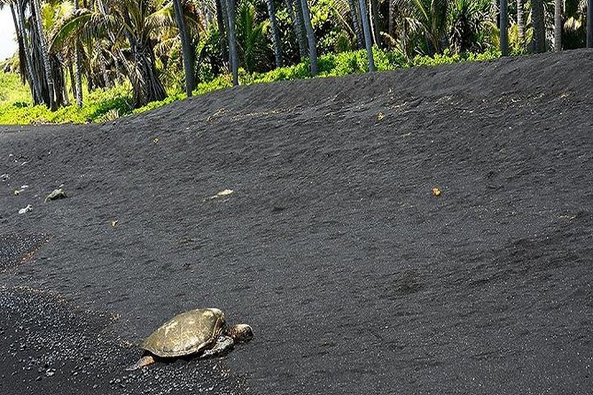 Hawaii Volcanoes National Park Experience from Oahu - Key Points