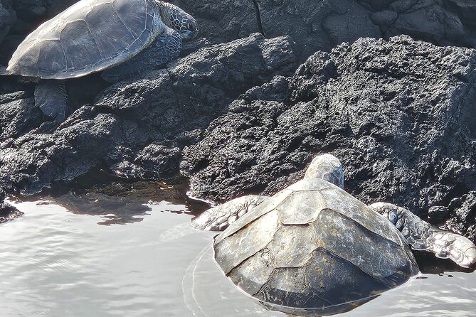 Hawaii Volcanoes, Waterfalls, Beaches & Hilo Highlights Day Tour - Relaxing at Richardson Ocean Park