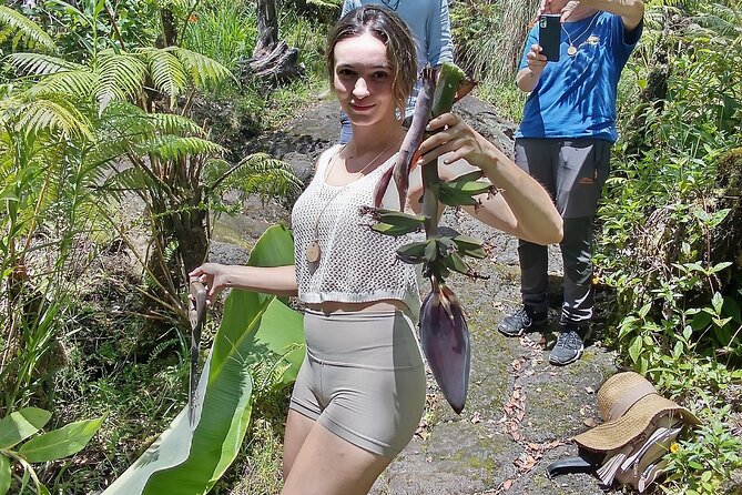Hawaiian Rainforest Banana Cultivation Experience - The Big Island Location on an 800-Year-Old Lava Flow