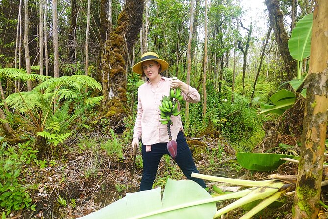 Hawaiian Rainforest Banana Cultivation Experience - The Art and Off-Grid Lifestyle on the Property