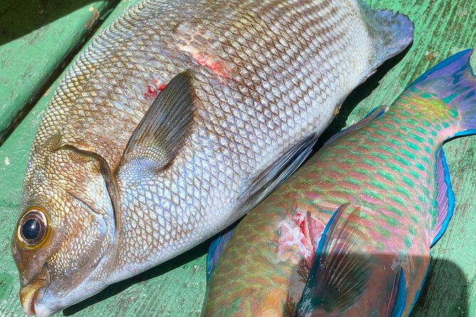 Hawaiian Reef Spearfishing Lesson for Beginners - Location and Meeting Point at Anini Road