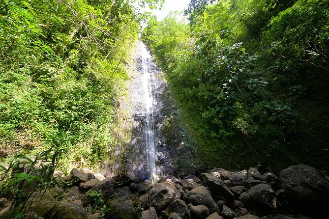 Hawaiian Waterfall Hike - Discover the Hawaiian Waterfall Hike for an Authentic Rainforest Adventure