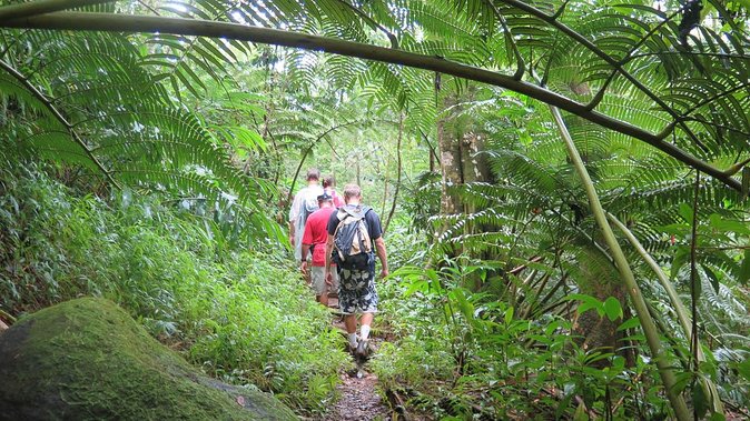 Hawaiian Waterfall Hike - Practical Amenities and Gear for Rainforest Conditions