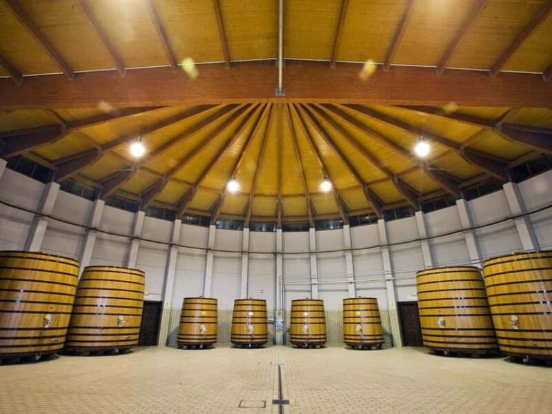 Haza: Ribera del Duero Winery Tour and Wine Tasting - The Guided Wine Tasting Session