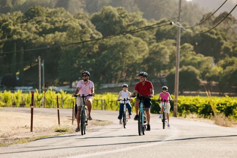 Healdsburg: Guided Electric Bike Wine Tour with Winery Stops - Key Points