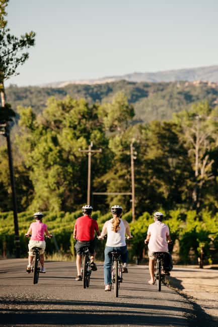 Healdsburg: Guided Electric Bike Wine Tour with Winery Stops - Scenic Rides Through Sonoma’s Vineyard Landscapes