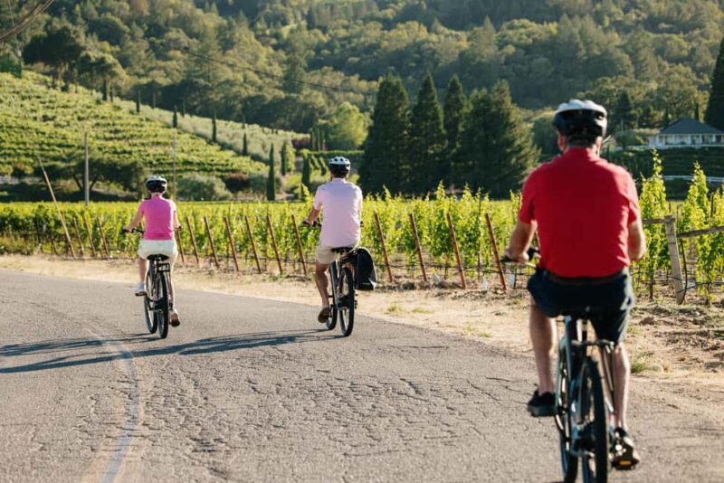 Healdsburg: Guided Electric Bike Wine Tour with Winery Stops - Visiting 2-3 Top Local Wineries for Tastings