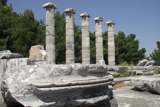 Heart of Aegean: Private Priene - Miletus - Didyma Tour - What Sets This Tour Apart