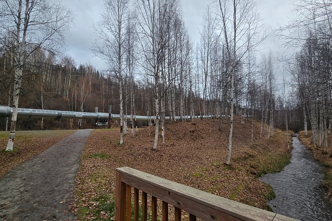 Heart of Fairbanks Tour Culture, Food, History and Fun - Explore Fairbanks in Depth with the Heart of Fairbanks Tour