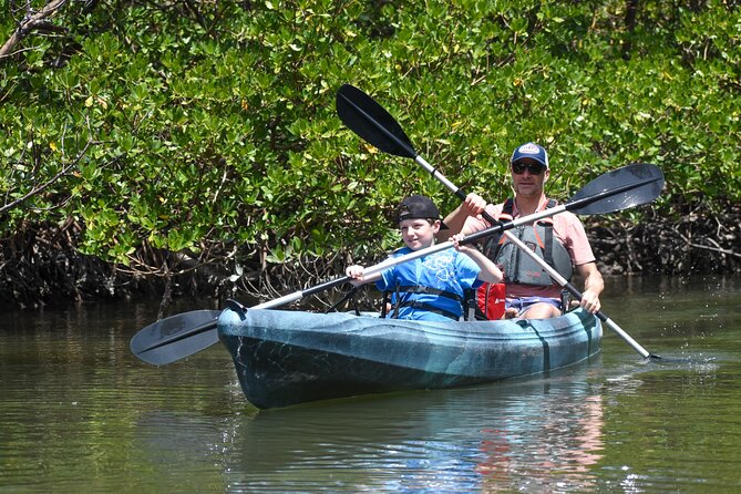 Heart of Rookery Bay Kayak Tour - Explore the Unique Heart of Rookery Bay Kayak Tour in Naples
