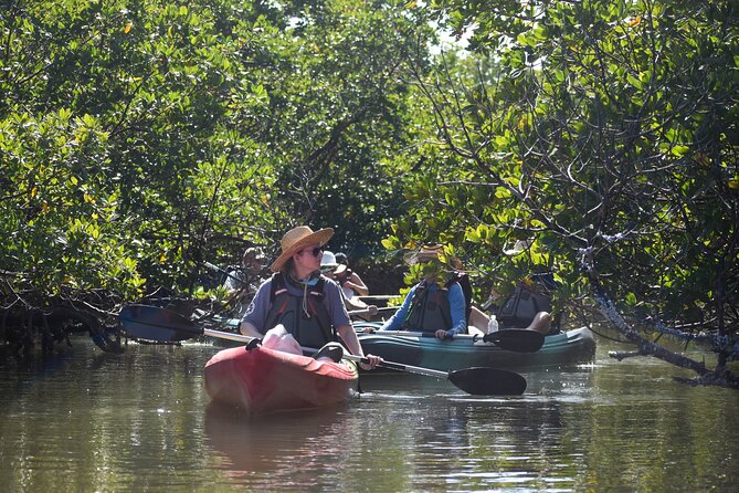 Heart of Rookery Bay Kayak Tour - Key Points