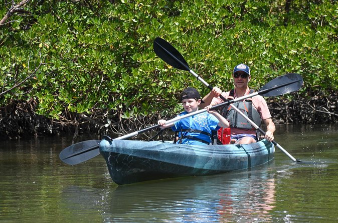 Heart of Rookery Bay Kayak Tour - Access to Rookery Bay Environmental Learning Center