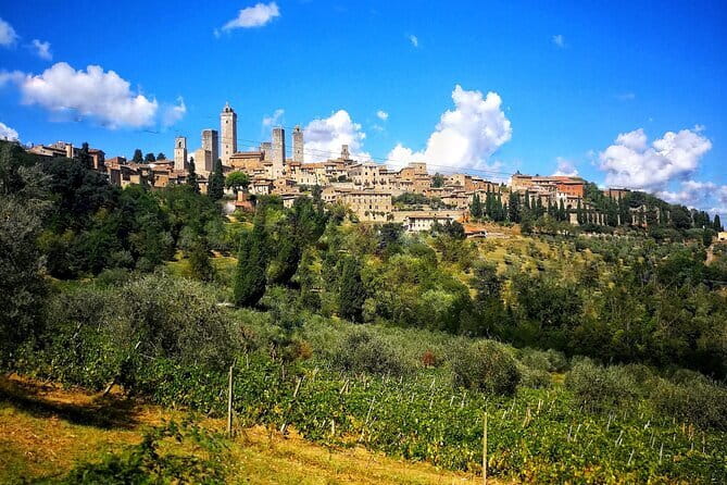 Heart of Umbria: explore the mystic towns of Orvieto and Assisi - Assisi and Orvieto: A Day Well Spent