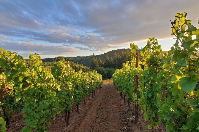 Heart of Willamette Winery Pass 2024: Wine Tastings and Discounts - Discovering Airlie Winery and Its Scenic Setting