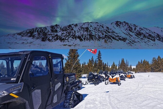 Heated and Enclosed ATV Tour in Alaska. Open All Year Round - Heated and Enclosed ATV Tour in Alaska: A Comfortable Adventure in the Talkeetna Mountains